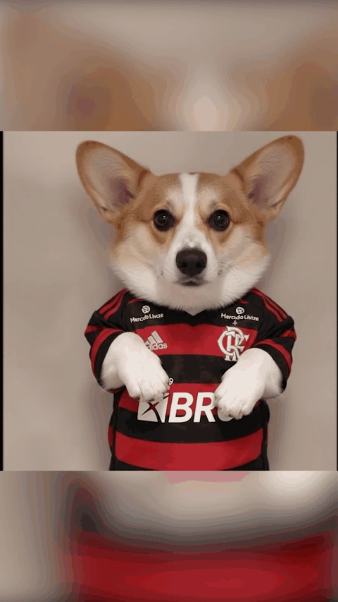 Figurinha Flamengo